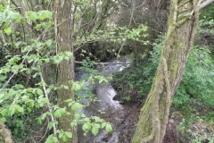18. Looking upstream from Glen Haven footbridge