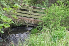 19. Glen Haven footbridge upstream face