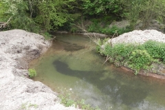 2. By Pit Lane fish ponds leat