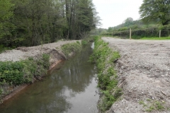 3. By Pit Lane fish ponds leat