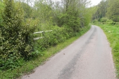 33. Temperance Hall road bridge