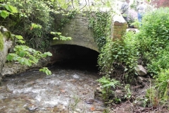 35. Roadwater Bridge upstream arch