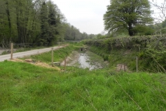 4. By Pit Lane fish ponds