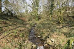 10. Upstream from Liscombe Lower Road (1)