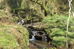 14. Downstream from Liscombe Lower Road (1)