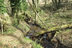 14. Downstream from Liscombe Lower Road (2)