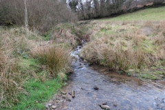 16. Downstream from Liscombe Lower Road
