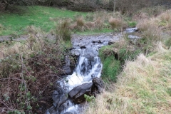 18. Downstream from Liscombe Lower Road (1)