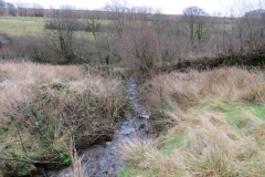 18. Downstream from Liscombe Lower Road (2)