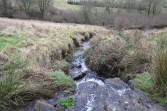 18. Downstream from Liscombe Lower Road (3)