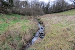 19. Upstream from join with Little River (1)