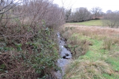 19. Upstream from join with Little River (2)