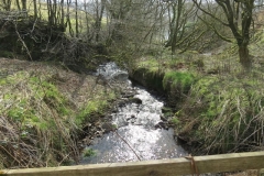 4. Downstream from Liscombe Upper Road