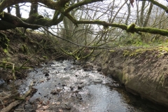 5. Downstream from Liscombe Upper Road