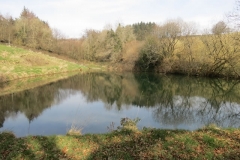 7. Liscombe Farm Pond (1)