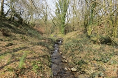 8. Outflow from Liscombe Farm Pond (2)