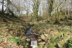 8. Outflow from Liscombe Farm Pond (3)