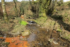 9. Upstream from Liscombe Lower Road (2)