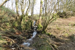 9. Upstream from Liscombe Lower Road (3)