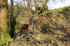 9. Upstream from Liscombe Lower Road (4)