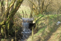 9. Upstream from Liscombe Lower Road (7)