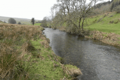 10. Downstream from Landacre bridge