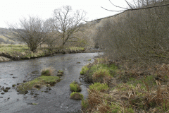 16. Upstream from Hillway Wood