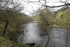 17. Flowing past Hillway Wood