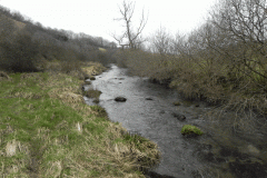 18. Flowing past Hillway Wood