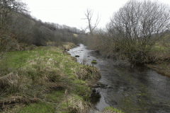 19. Flowing past Hillway Wood