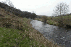 20. Flowing past Hillway Wood