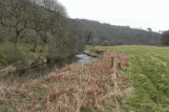 22. Flowing past Hillway Wood