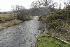 34. Downstream from Strong Ford