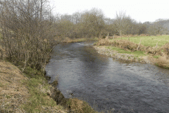 40. Upstream from Knighton Combe