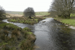 5. River Island downstream from Landacre bridge