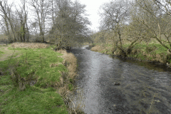 53. Upstream from New Bridge Withypool