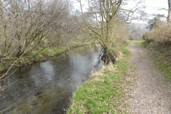 54. Upstream from New Bridge Withypool