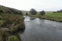 7. Downstream from Landacre bridge