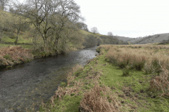 9. Downstream from Landacre bridge