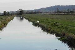 16.-Langacre-Rhyne-looking-upstream-from-Bimpit-Lane-Bridge
