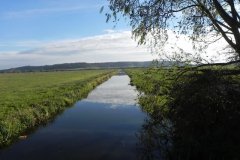 6.-Langacre-Rhyne-looking-upstream-from-Grey-Lake-Farm-Bridge