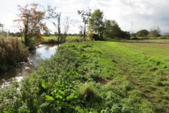 4.-Downstream-from-Longaller-Weir
