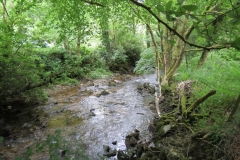 1. Downstream from Larcombe Foot (1)