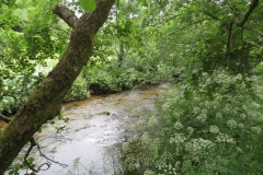 1. Downstream from Larcombe Foot (10)
