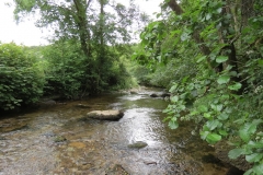 1. Downstream from Larcombe Foot (11)