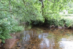 1. Downstream from Larcombe Foot (12)
