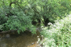 1. Downstream from Larcombe Foot (14)