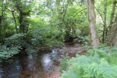 1. Downstream from Larcombe Foot (16)