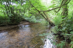 1. Downstream from Larcombe Foot (17)
