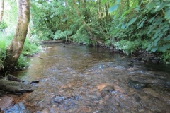 1. Downstream from Larcombe Foot (19)